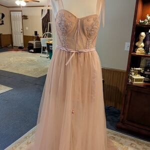 Beautiful Blush Colored Gown With Tags